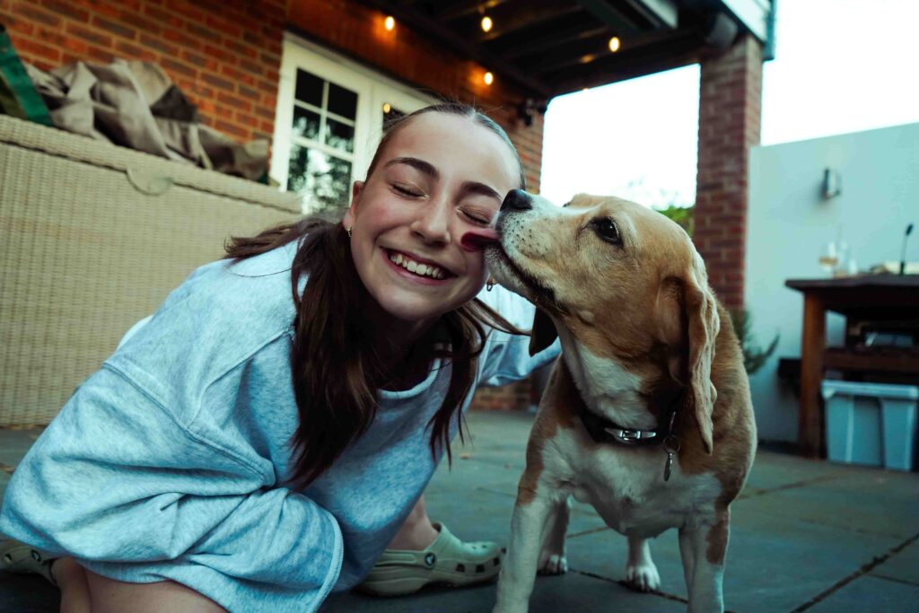 kako biti dobar pet sitter