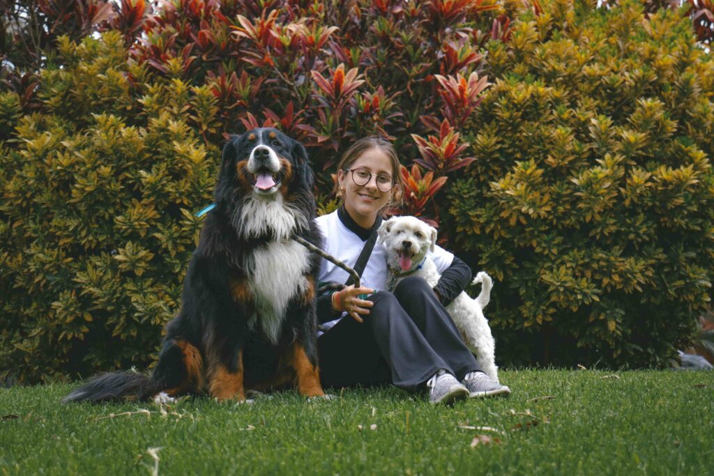 pet sitter posao — šetanje i čuvanje pasa