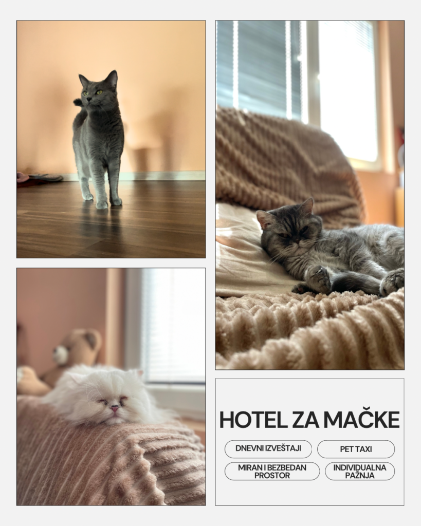 Mjau – Hotel za Mačke
